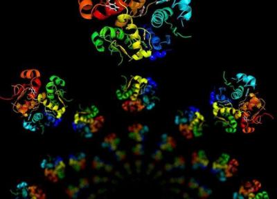 دیپ مایند گوگل مسئله 50 ساله تاشدگی پروتئین ها را حل کرد: تحولی در درمان بیماری ها